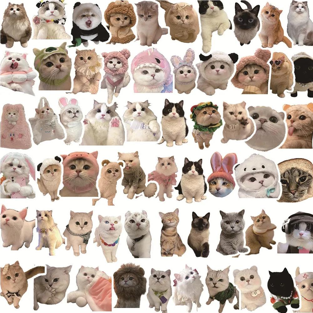 10/30/50pcs Kawaii Pet Cat Stickers Waterproof DIY Luggage Skateboard Phone Laptop Helmet Cute Animal Graffiti Sticker Toy Gifts