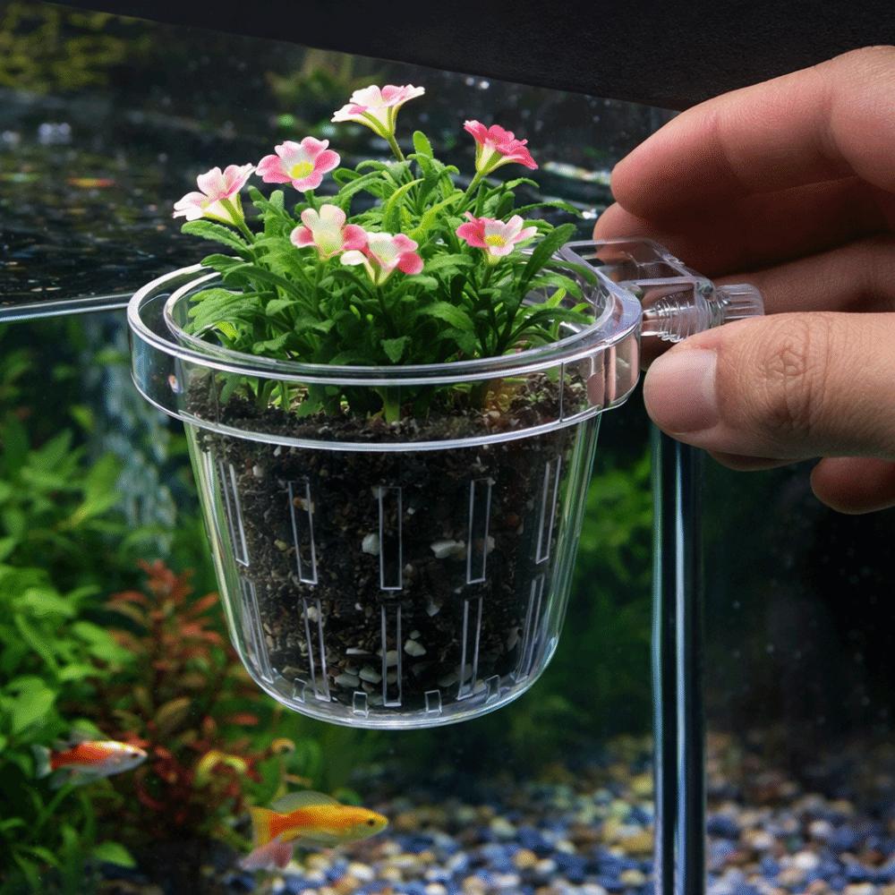 Transparent Fish Tank Grass Cup Round Wall Mounted Hydroponic Support Plastic Hanging Wall Hanging Pots Hydroponic Gardening