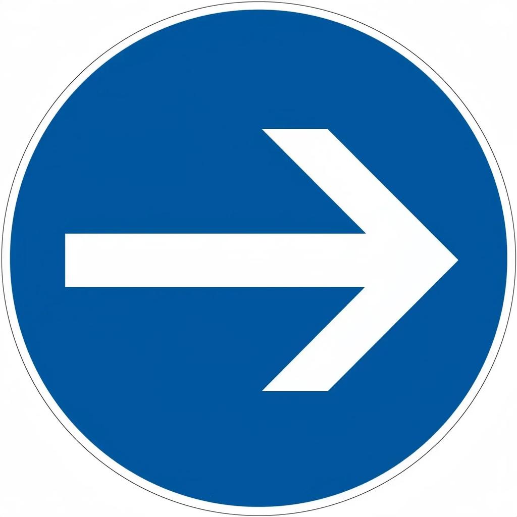 No Sign Road Metal SignVideo AlarmProhibited AccessPrivate PropertyAttention Dog No EnterNo ParkingTurnWarning Sign