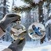 Ornament Nature's Birds Clear Christmas , Hummingbird Christmas Tree Ornaments for Xmas Decor, Clear Balls for Home Decor