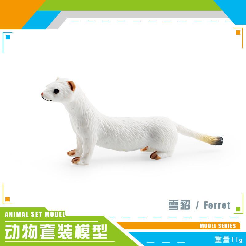 Lifelike African Lion Ferret And More Animal Figurines For Kids And Collectors