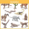 Authentic 11 Pack Desert Animal Figurines Including Rattlesnake And Prairie Dog