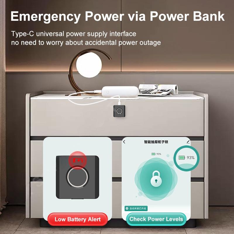 Fingerprint Drawer Cabinet Lock Smart Wardrobe Furniture Fingerprint Locks APP Intelligent Management Mailbox Locks