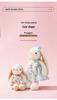 Large Lop-Eared Bunny Plush - Cute Floral Skirt Doll, Soothing Girl's Companion and Pet Healing Toy