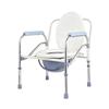 Elderly Foldable Multifunction Toilet Chair: Portable & Household Use
