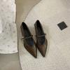 French low-heeled shoes, small fragrant wind pointed single shoes women's 2025 spring and autumn new Mary Jane women's shoes, thick-heeled work shoes