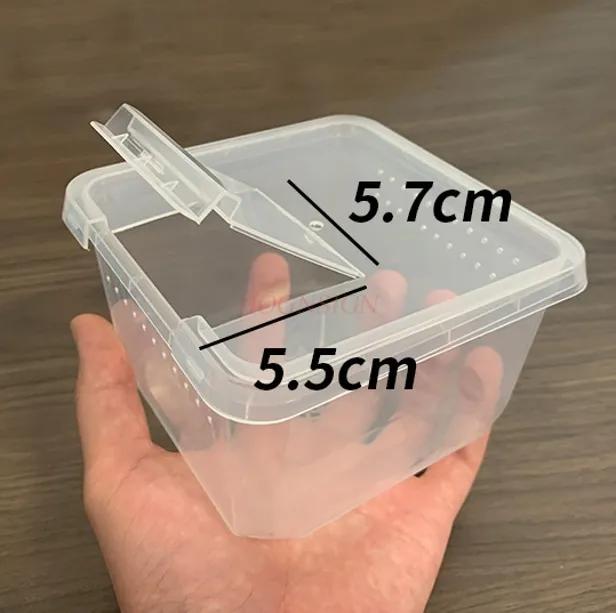 Small Insect Larva Feeding Box Spider Scorpion Hermit Crab Mini Feeding Box Packaging Box