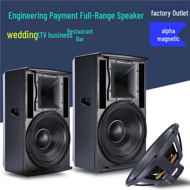 Professional High-Power 12-15 Inch Stage and Home Audio Subwoofer for KTV, Conference, Dance, and Cinema