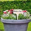 QX2E Plant Identification Garden Marker Cards Plant Sign Labels Labels for Garden Plant