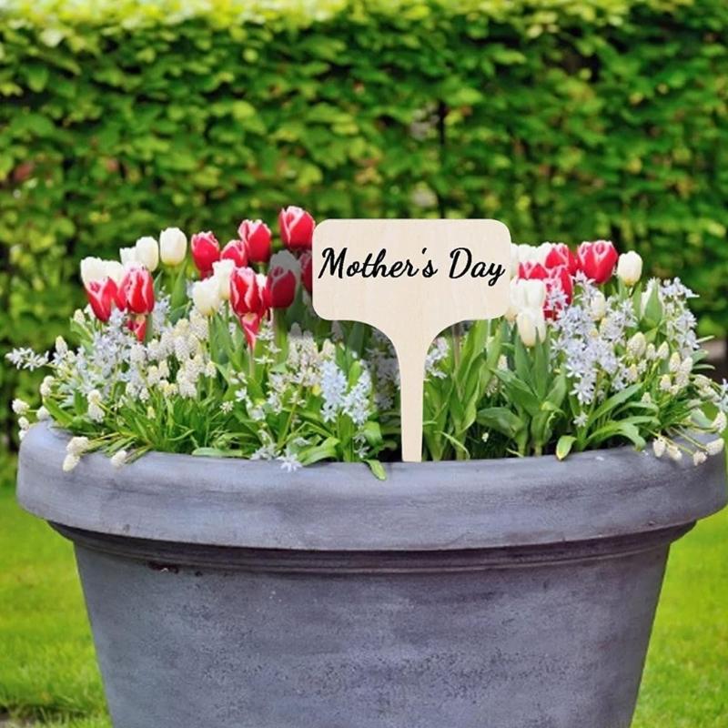 QX2E Plant Identification Garden Marker Cards Plant Sign Labels Labels for Garden Plant
