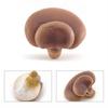 Gemüsemodell Pilzfiguren Matsutake Auster Künstliche Simulation Pilz Kräuterseitling Pflanzenpilzmodell Gartendekoration