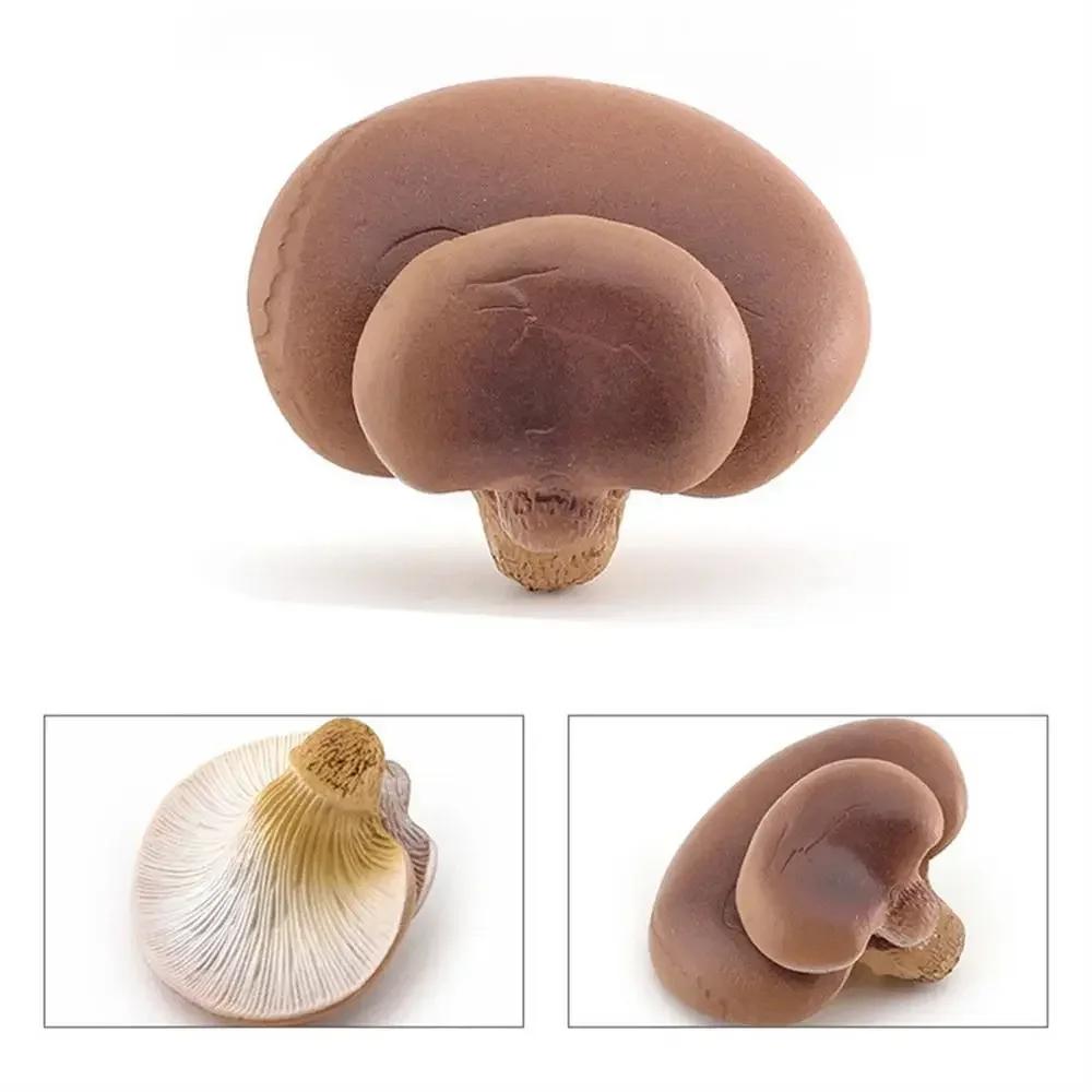 Gemüsemodell Pilzfiguren Matsutake Auster Künstliche Simulation Pilz Kräuterseitling Pflanzenpilzmodell Gartendekoration