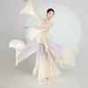 Women's Chinese Style Gradient Dance Dress, Flowy Chiffon Long Sleeve Performance Costume