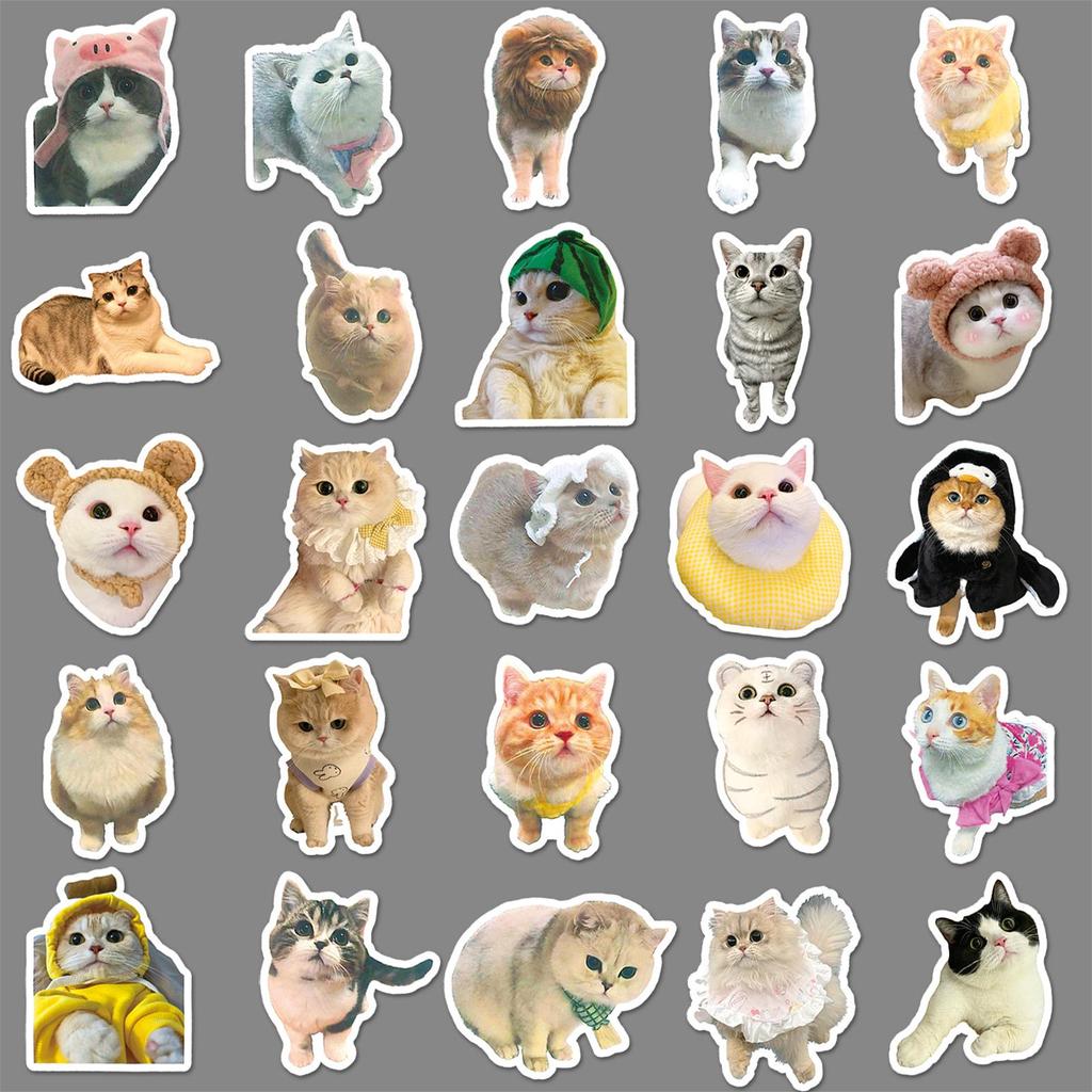 100 Cute Cat Emoticon Stickers: Waterproof Decorative Kitten Designs for Mobile Phones and Computers.