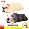 Large Sleepy English Bulldog Toy Figure - Children's Cognitive Animal Model