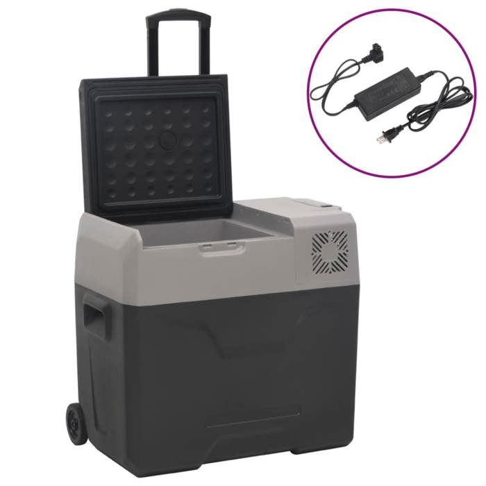 VidaXL Glacière avec Roue et Adaptateur, Réfrigérateur de Voiture, Glacière Électrique Randonnée Pique-nique Camping, Noir 3154637