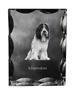 Schapendoes, Dutch Sheepdog – Crystal with a Picture of a Dog, Glass Statuette with a Picture |