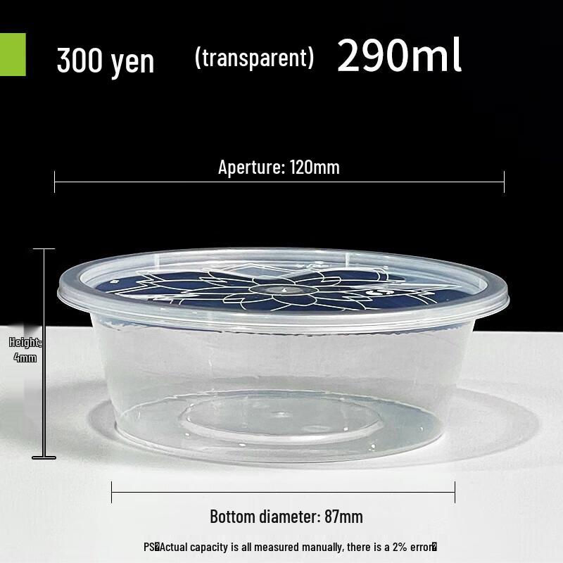 Disposable Transparent Plastic Takeaway Boxes
