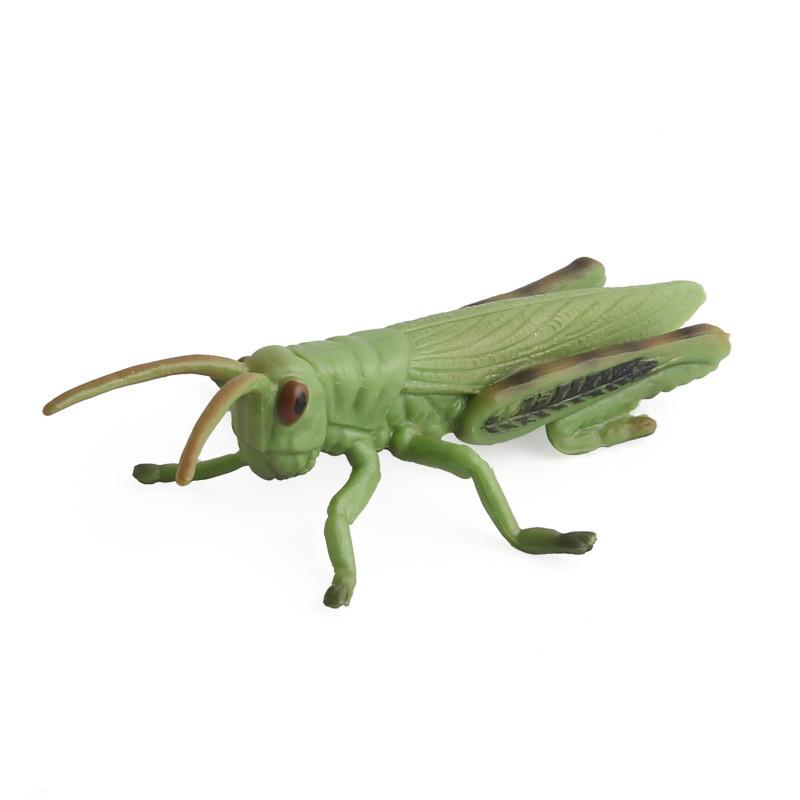 Realistic Pvc Insect Bees Spiders Model Set For Science Education And Collection Display