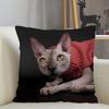 Musife Custom Sphynx Cat Pillowcase Home Decoration 45x45cm Zipper Square Pillowcase Throw Pillow Cover Drop Shipping 04.24
