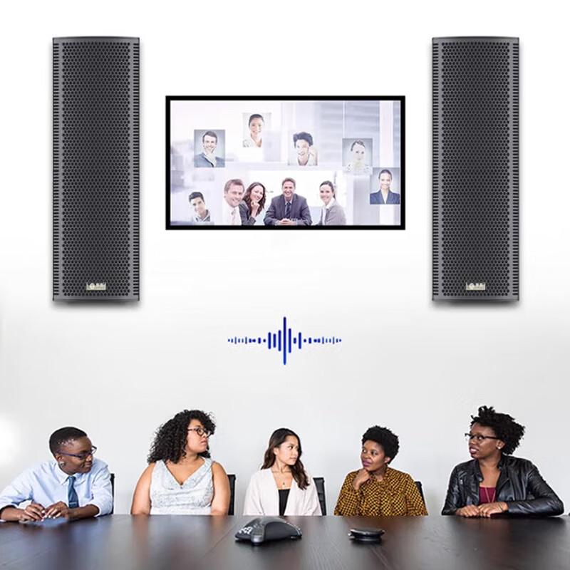 Huidu H-0206 Professional All-Weather PA Sound Column Speaker