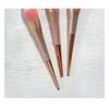 REGENBOOG - Blush Brush