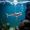 1 Pc Floating Shark Ornament - Adjustable Aquarium Shark Animal Decor | Aquarium Floating Shark Ornaments Thematic Ornaments Suitable for Aquarium