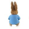 Peter Rabbit Plush Toy 2L