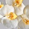 10 Heads Artificial Butterfly Orchid Real Touch Iron Wire Inner Lining Fake Phalaenopsis Multi Color 98cm
