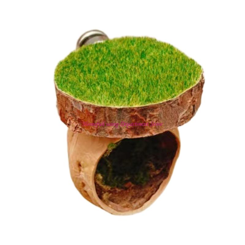 

Reptiles Habitat Box Ventilated Wooden Spiders Shelter with Base Design for Terrariums Landscaping Accessories China Mainland
