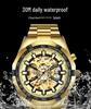 Wolis Men's Gold Waterproof Mechanical Watch - Creative Hollow Design