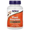 NOW Foods Pflanzenenzyme Veg-Kapseln, 120 Stück