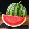 Kirin Watermelon, Approx. 4kg Box