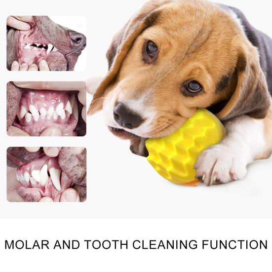 Hračka pro psa ulevuje od nudy Broušení zoubků Psí pískací míček Potřeby pro domácí mazlíčky, které jsou odolné proti kousnutí
