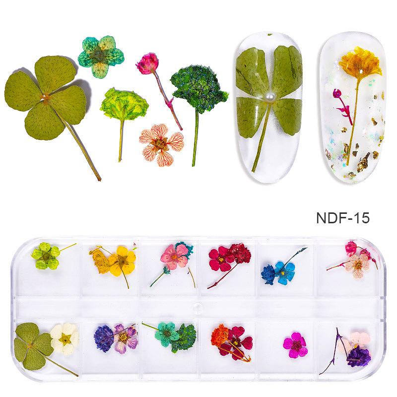1Box Dried Flowers Dry Plants for Rsein Molds Fillings Epoxy Resin Pendant Tweezers Jewelry Making Craft DIY Nail Art Decoration