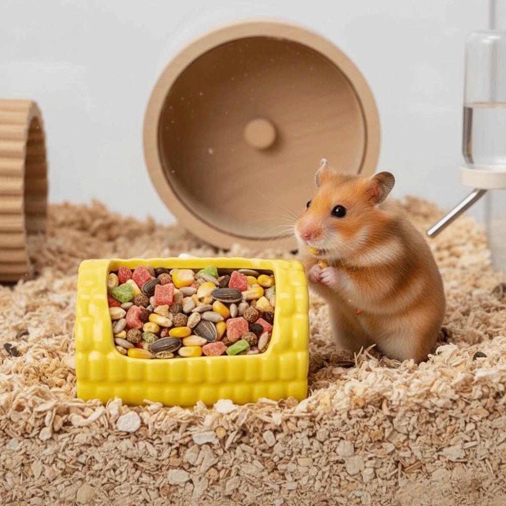 Spill-Proof Pet Feeding Bowl Bite Resistant Hamster Feeding Dish Rabbit Water Bowl  Cage Accessory
