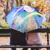 Liko  Pattern, Automatic Folding Umbrella, Portable and Foldable Design, 8 Ribs, a Christmas or Birthday Gift.
