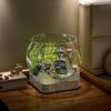 Transparent PET Material Wear-Resistant Desktop Hydroponic Goldfish Tank - Durable and Varied Styles
