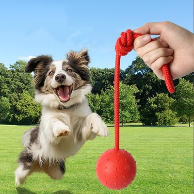 Indestructible Dog Ball Pet Training Dog Toy Puppy Tug Balls Toys Pet Chew Toys Solid Rubber Balls with Rope Pet Toy
