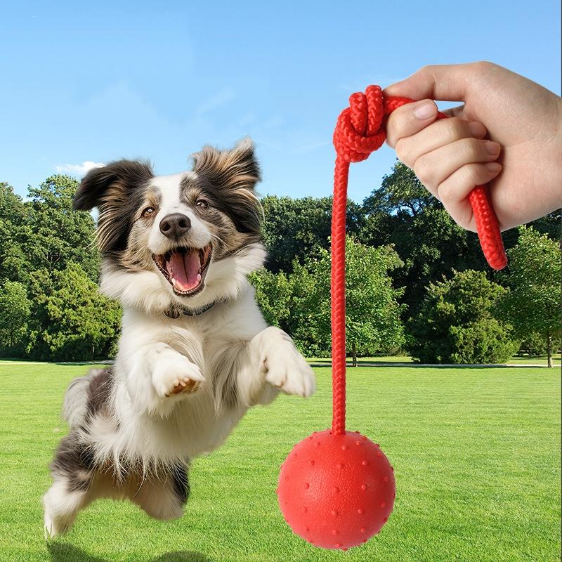 Rubber Ball with Rope Pet Teeth Indestructible Bite Toy Funny Puppy Training Solid Balls Pets Dog Chew Toys