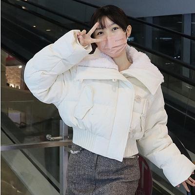 New Cotton-padded Clothes for Women's Winter Short Loose Small Cotton-padded Clothes and Cotton-padded Jackets for Students