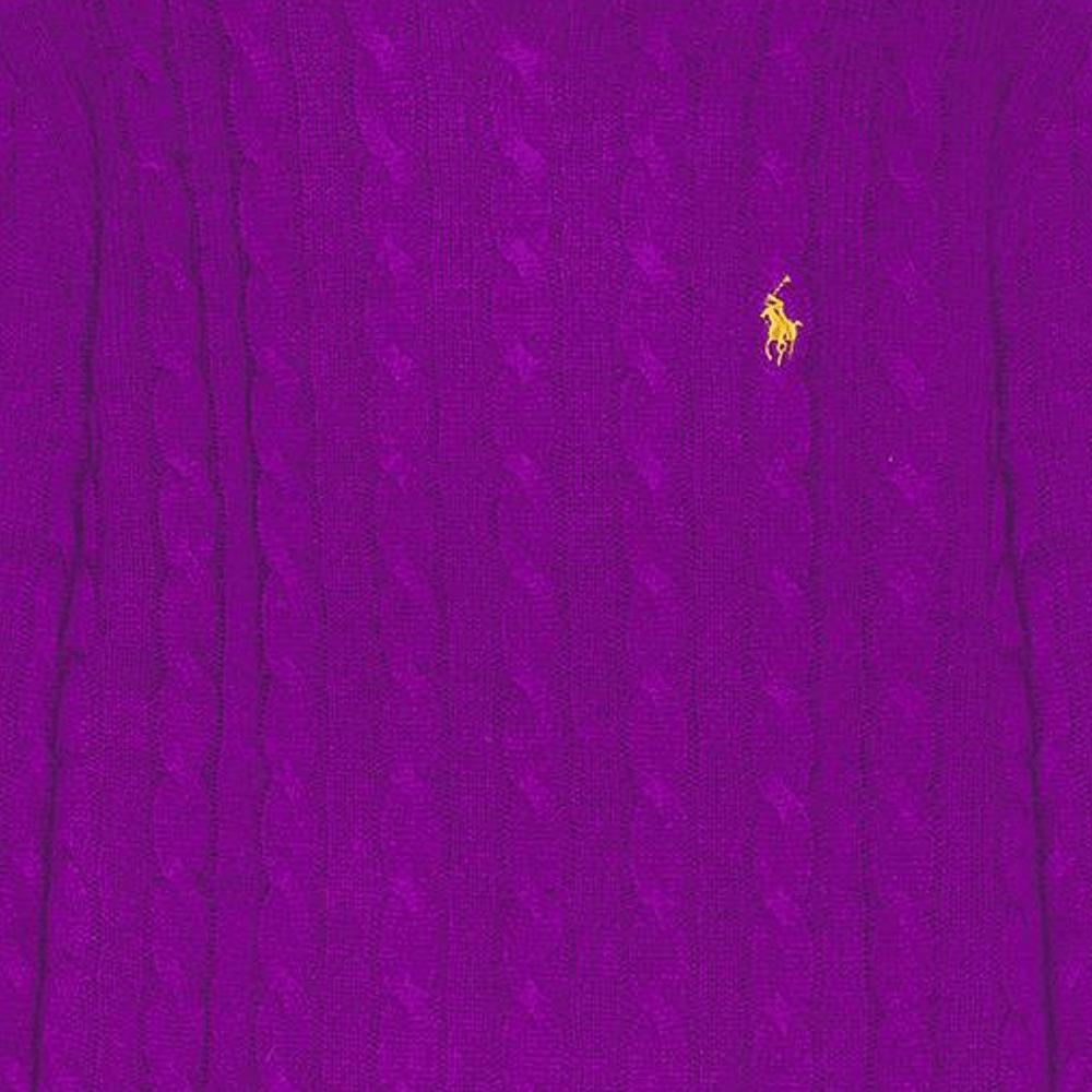 Polo Ralph Lauren Solid Logo Round Neck Long Sleeve Knit Sweater Men sweater Purple 710876762-025