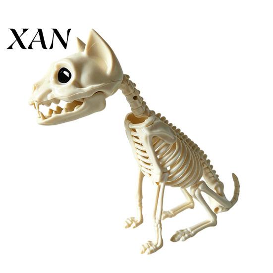 Durable Halloween Skeleton Decor Animal Skeleton, Realistic Fish Bird Spider Snake Cat Creepy Party Props Model for Party, Haunted House, Graveyard