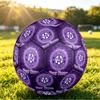 Personalized Size 5 Football Austria Wien FC Pattern Outdoor Game Sports Ball Gift