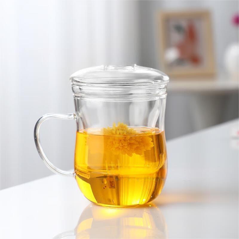 Portable Borosilicate Glass Tea Infuser Mug with Handle