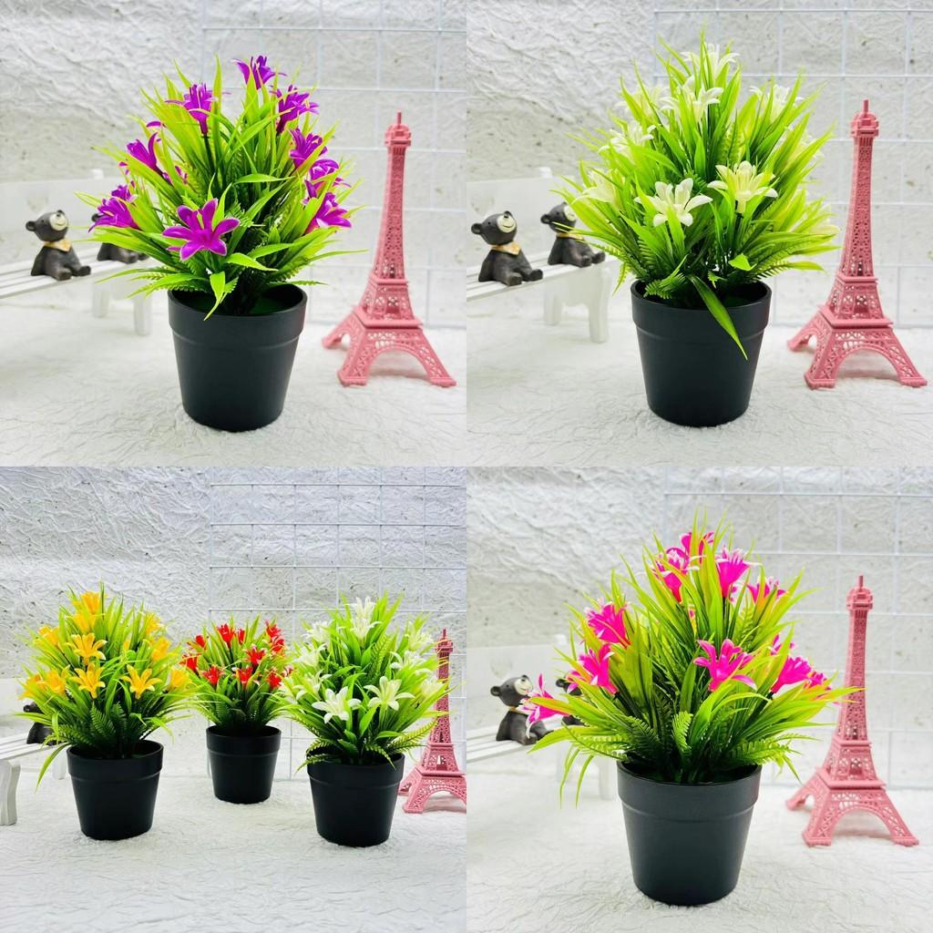 Small Orchid Plant Plastics Potted Plant Window Dressing For Hotel Decor