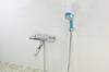 KAKUDAI Water Purification Stop Shower Blue Head, Li-Large, 357-916-B,