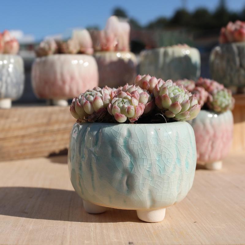 NEW Ceramic Flower Pot Creative Design Ice Cracked Glaze Succulent Pot Planter Small Flowerpot Home Hotel Ornament Decoration