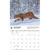 Carousel Calendars, Wild Cats WWF 2026 Wall Calendar, 12'' X 28'', 16-Month Calendar with Stapled Binding
