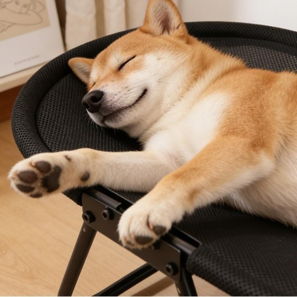 Oddychające Siatkowe Podwyższone Legowisko dla Psa Składane Legowisko Marszowe dla Kota Uniwersalna Kanapa-Łóżko dla Kota Kempingowe Outdoor